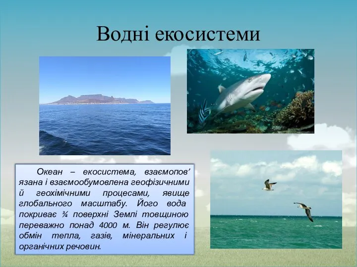 Водні екосистеми Океан – екосистема, взаємопов’язана і взаємообумовлена геофізичними й геохімічними