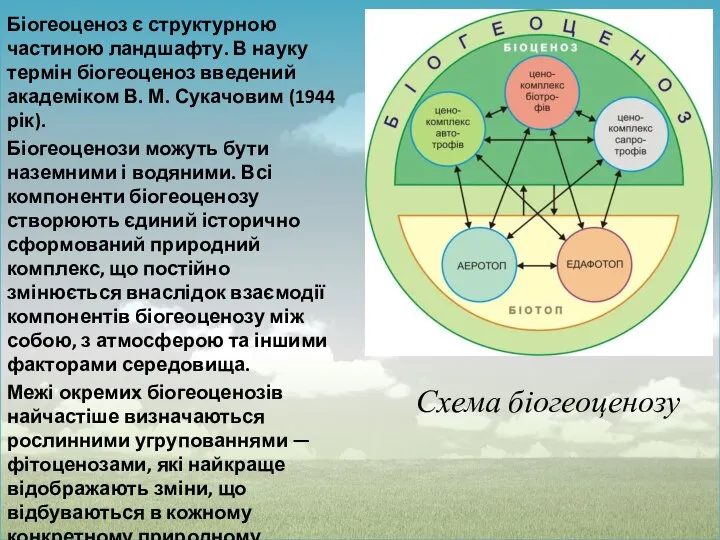 Схема біогеоценозу Біогеоценоз є структурною частиною ландшафту. В науку термін біогеоценоз