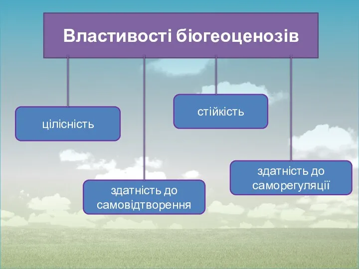 Властивості біогеоценозів цілісність здатність до самовідтворення здатність до саморегуляції стійкість