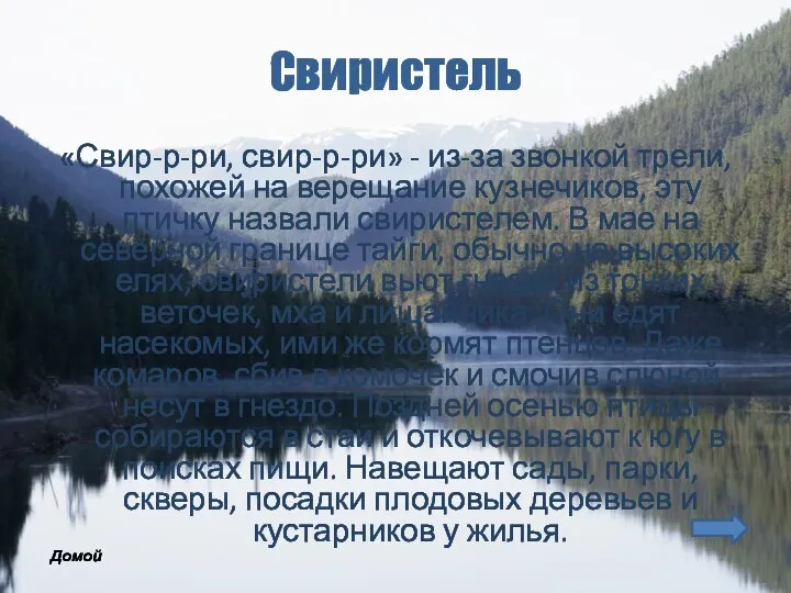 Свиристель «Свир-р-ри, свир-р-ри» - из-за звонкой трели, похожей на верещание кузнечиков,