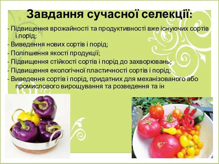 Завдання сучасної селекції: - Підвищення врожайності та продуктивності вже існуючих сортів