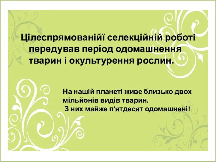 Цілеспрямованійї селекційній роботі передував період одомашнення тварин і окультурення рослин. На