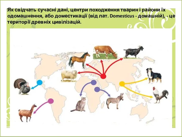 Як свідчать сучасні дані, центри походження тварин і райони їх одомашнення,