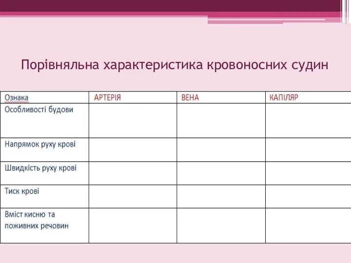 Порівняльна характеристика кровоносних судин