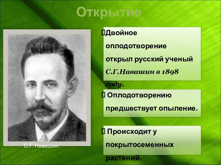 Открытие Происходит у покрытосеменных растений. Оплодотворению предшествует опыление. Двойное оплодотворение открыл