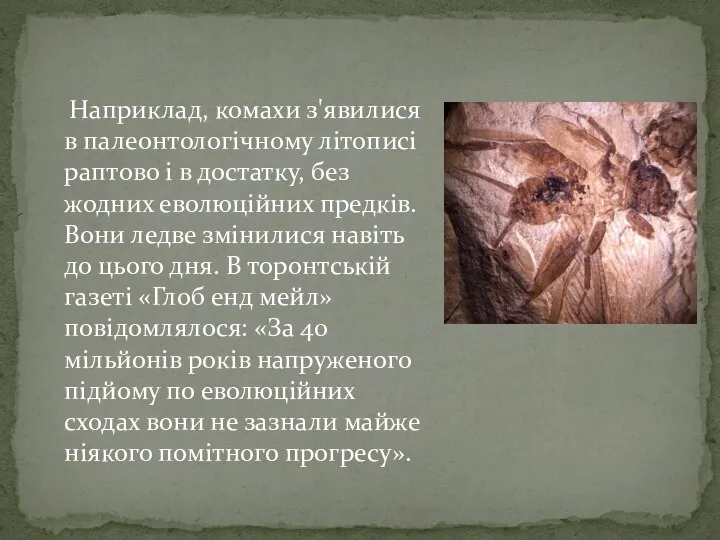 Наприклад, комахи з'явилися в палеонтологічному літописі раптово і в достатку, без