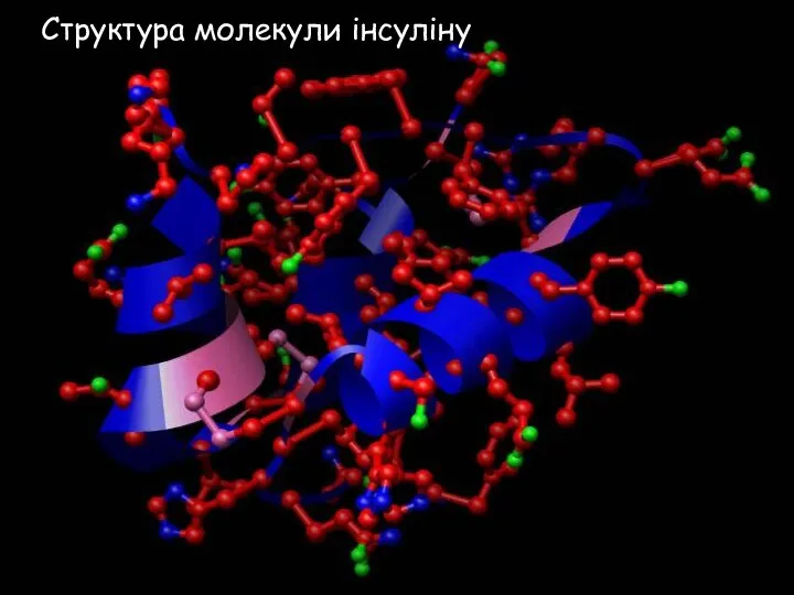 Структура молекули інсуліну