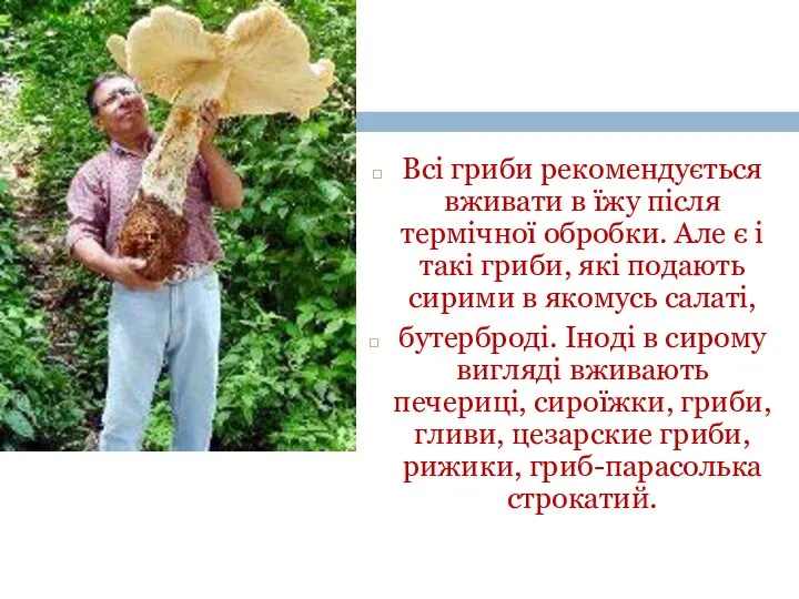 Всі гриби рекомендується вживати в їжу після термічної обробки. Але є