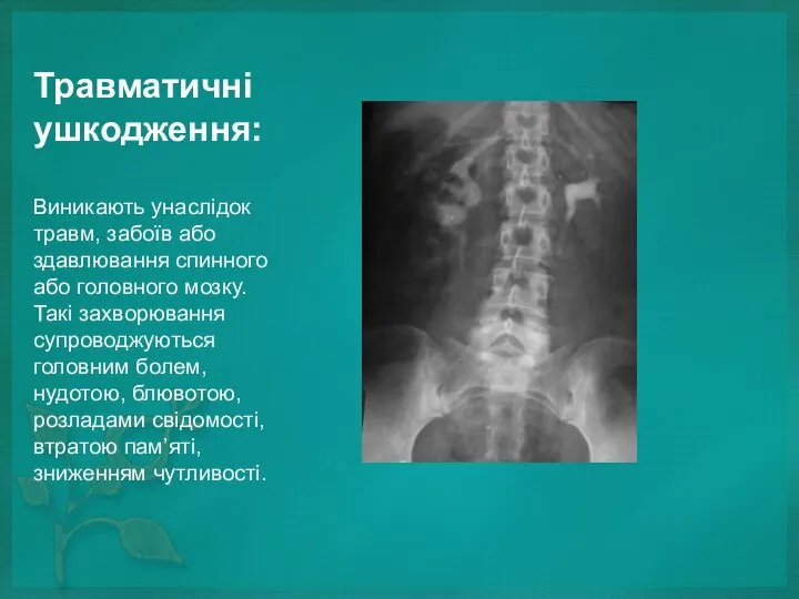 Травматичні ушкодження: Виникають унаслідок травм, забоїв або здавлювання спинного або головного