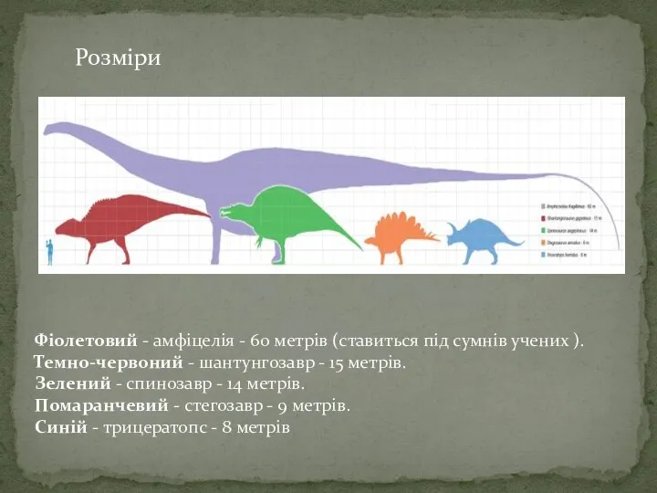 Розміри Фіолетовий - амфіцелія - 60 метрів (ставиться під сумнів учених