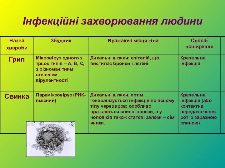 Інфекційні захворювання людини