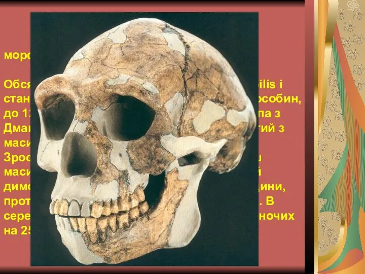 морфологічні особливості Обсяг мозку H. erectus більше ніж у H. habilis