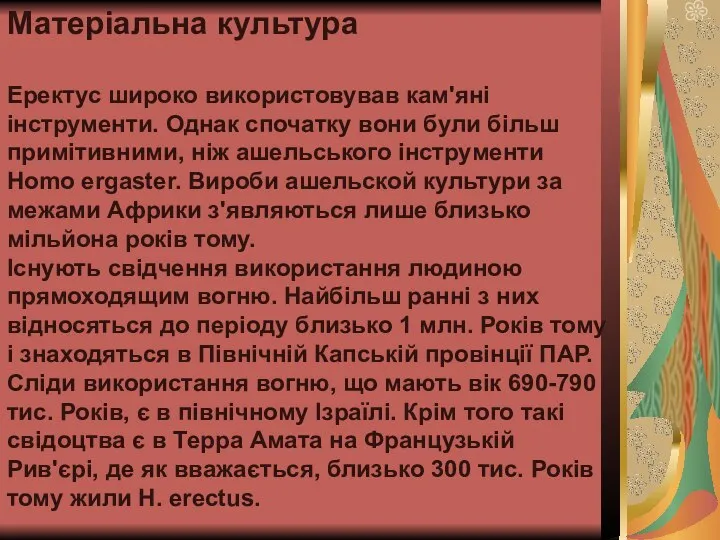 Матеріальна культура Еректус широко використовував кам'яні інструменти. Однак спочатку вони були