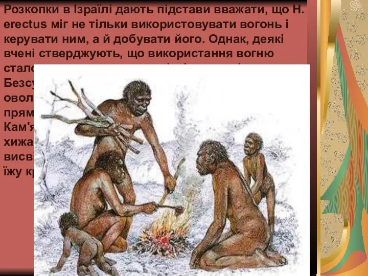 Розкопки в Ізраїлі дають підстави вважати, що H. erectus міг не