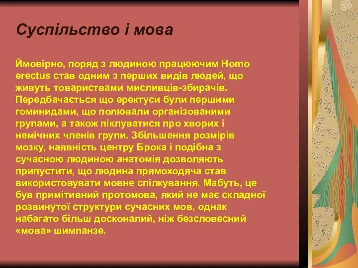 Суспільство і мова Ймовірно, поряд з людиною працюючим Homo erectus став