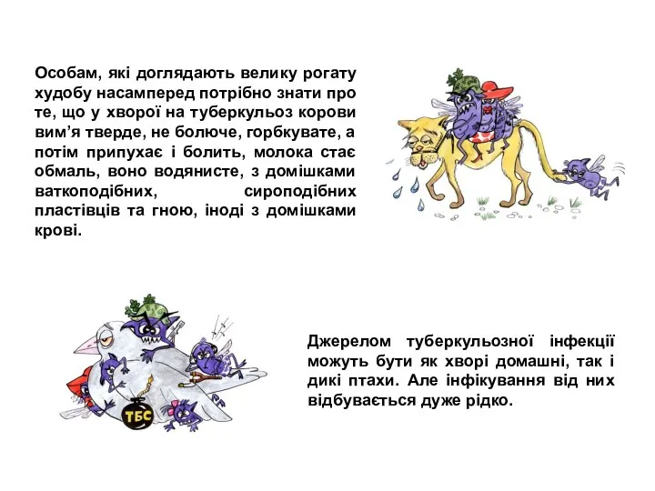 Особам, які доглядають велику рогату худобу насамперед потрібно знати про те,