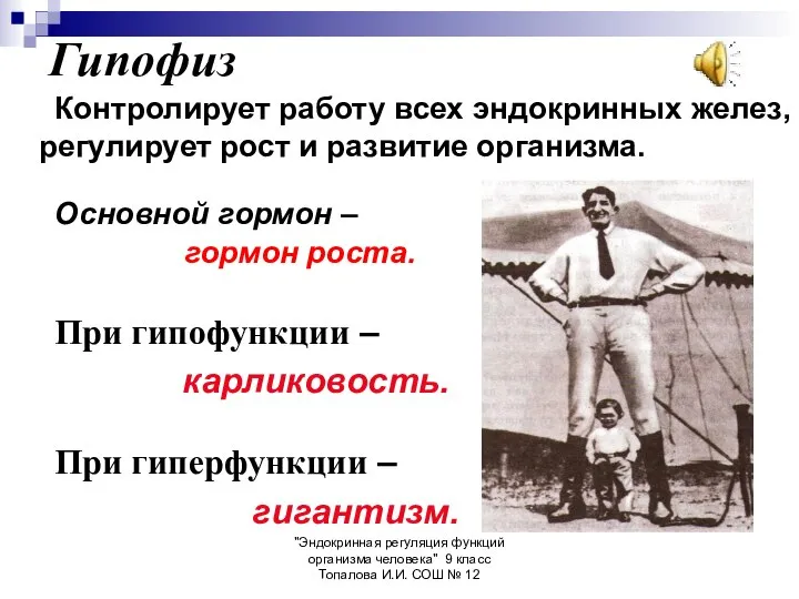 "Эндокринная регуляция функций организма человека" 9 класс Топалова И.И. СОШ №