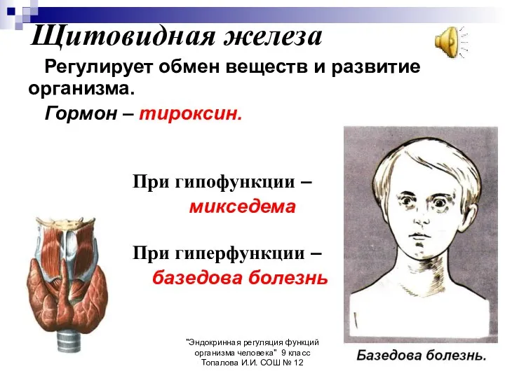 "Эндокринная регуляция функций организма человека" 9 класс Топалова И.И. СОШ №