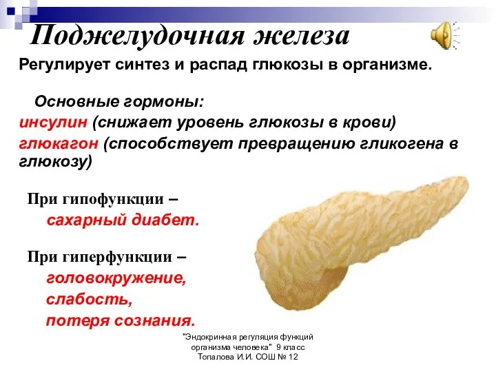 "Эндокринная регуляция функций организма человека" 9 класс Топалова И.И. СОШ №