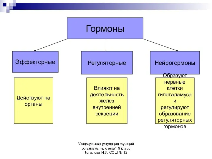 "Эндокринная регуляция функций организма человека" 9 класс Топалова И.И. СОШ №