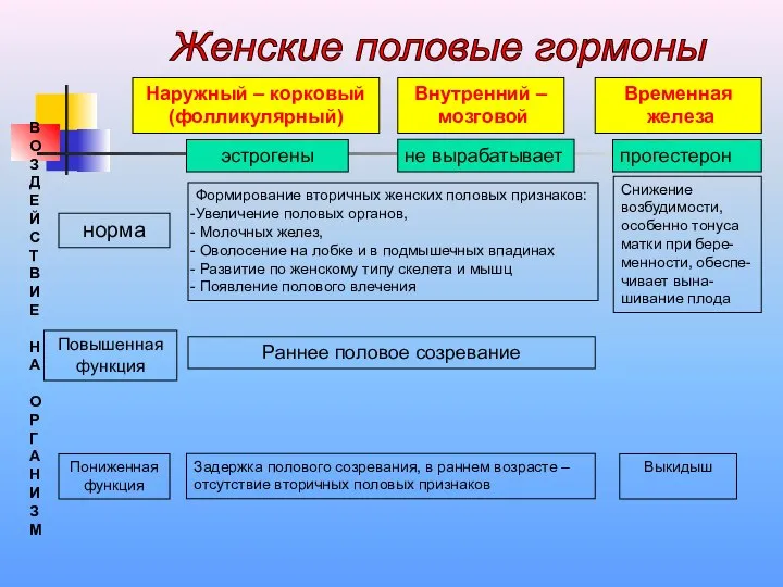 Наружный – корковый (фолликулярный) Внутренний – мозговой Временная железа эстрогены прогестерон