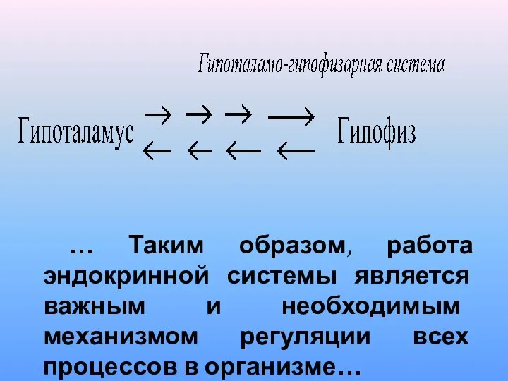 … Таким образом, работа эндокринной системы является важным и необходимым механизмом регуляции всех процессов в организме…