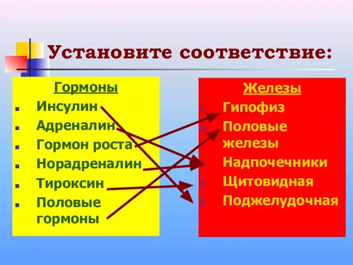 Установите соответствие: Гормоны Инсулин Адреналин Гормон роста Норадреналин Тироксин Половые гормоны