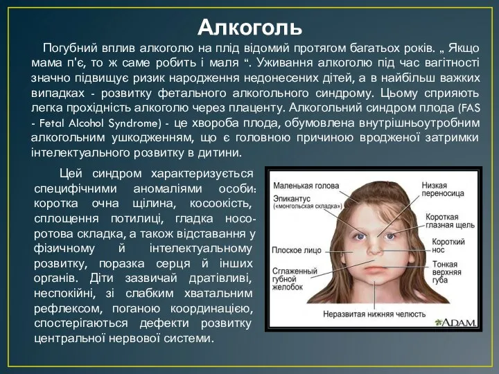 Алкоголь Погубний вплив алкоголю на плід відомий протягом багатьох років. „