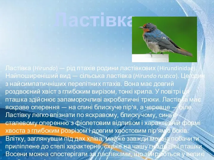 Ластівка Ластівка (Hirundo) — рід птахів родини ластівкових (Hirundinidae). Найпоширеніший вид