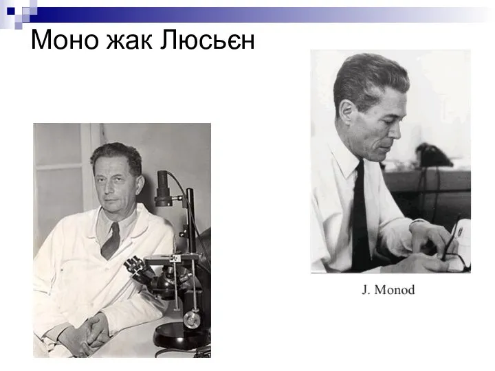 Моно жак Люсьєн