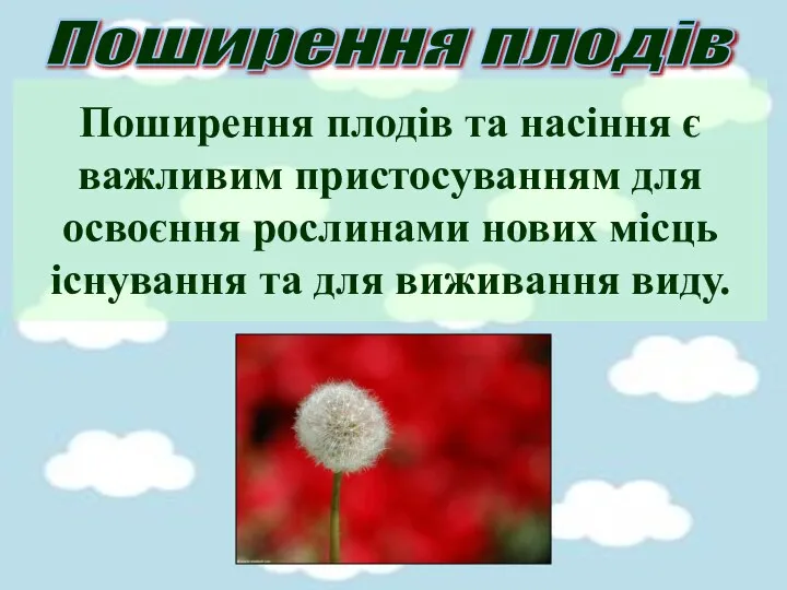 Поширення плодів та насіння є важливим пристосуванням для освоєння рослинами нових