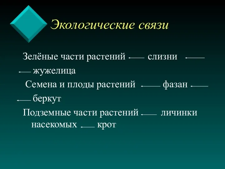 Экологические связи Зелёные части растений слизни жужелица Семена и плоды растений