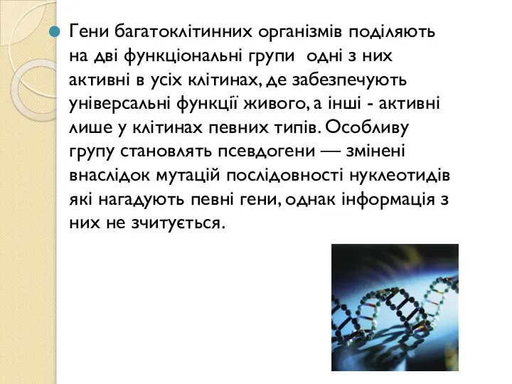 Гени багатоклітинних організмів поділяють на дві функціональні групи одні з них