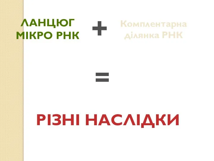 Ланцюг Мікро РНК + Комплентарна ділянка РНК = РІЗНІ НАСЛІДКИ