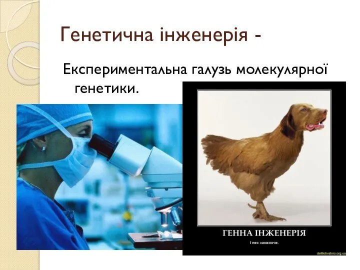 Генетична інженерія - Експериментальна галузь молекулярної генетики.