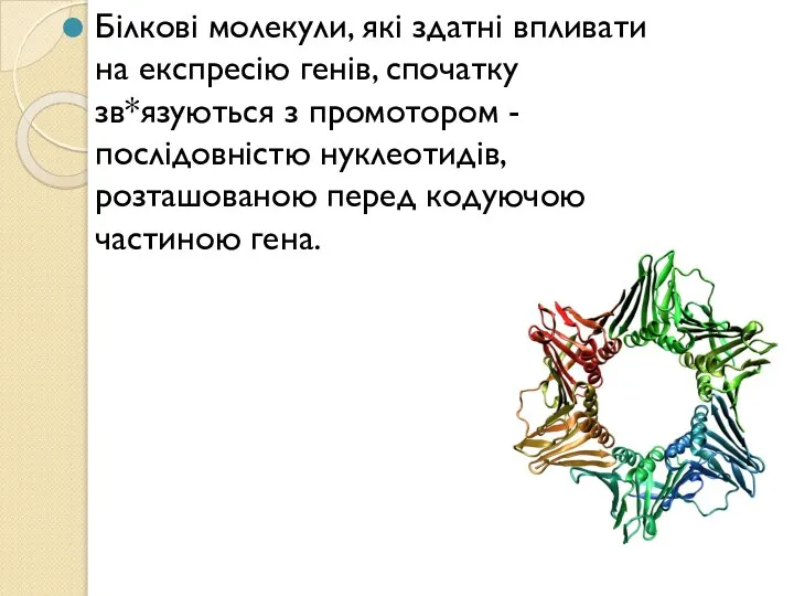 Білкові молекули, які здатні впливати на експресію генів, спочатку зв*язуються з