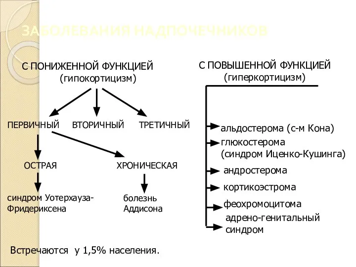 ЗАБОЛЕВАНИЯ НАДПОЧЕЧНИКОВ