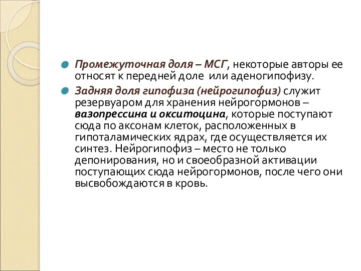 Промежуточная доля – МСГ, некоторые авторы ее относят к передней доле