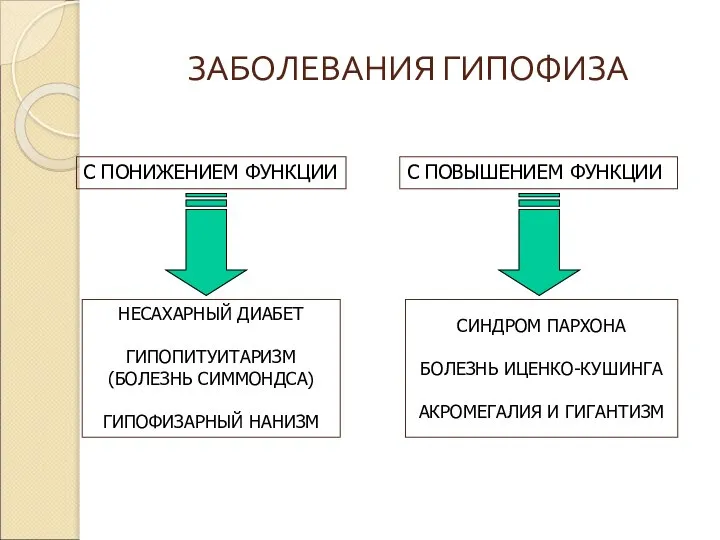 ЗАБОЛЕВАНИЯ ГИПОФИЗА