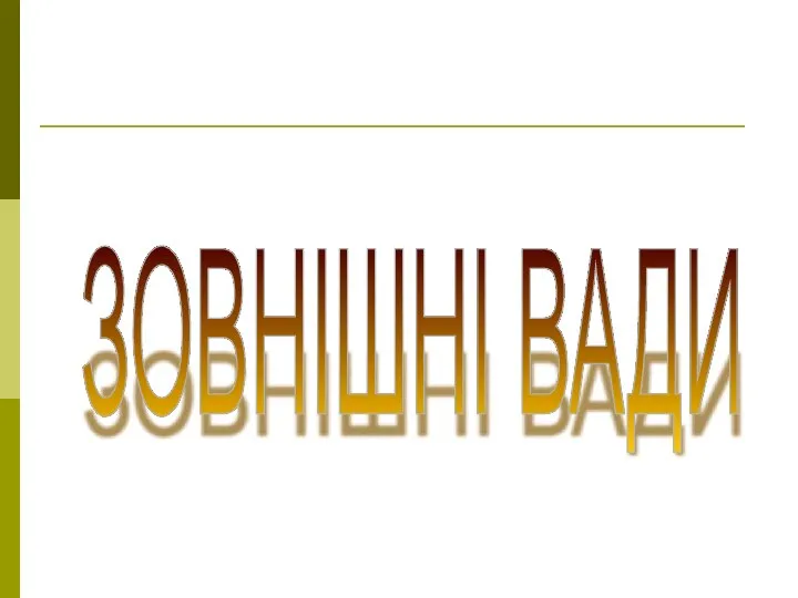 ЗОВНІШНІ ВАДИ