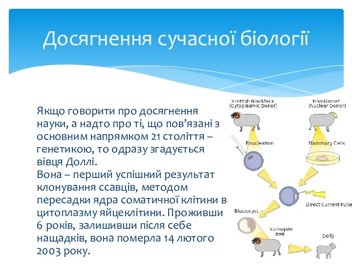 Якщо говорити про досягнення науки, а надто про ті, що пов’язані