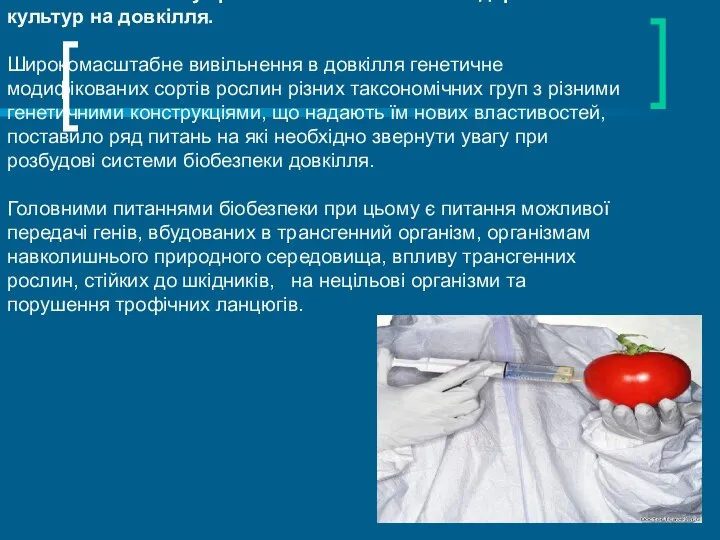 Можливості впливу трансгенних сільськогосподарських культур на довкілля. Широкомасштабне вивільнення в довкілля