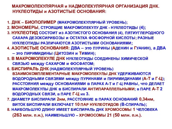 МАКРОМОЛЕКУЛЯРНАЯ и НАДМОЛЕКУЛЯРНАЯ ОРГАНИЗАЦИЯ ДНК. НУКЛЕОТИДЫ и АЗОТИСТЫЕ ОСНОВАНИЯ: 1. ДНК