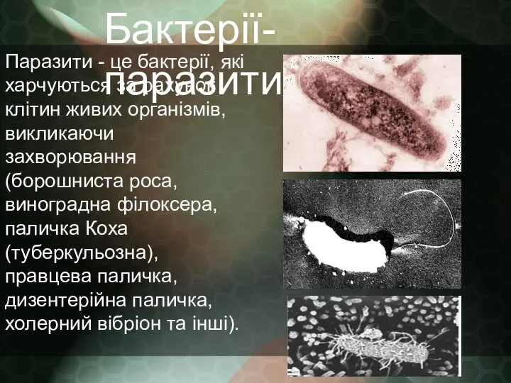 Бактерії-паразити Паразити - це бактерії, які харчуються за рахунок клітин живих