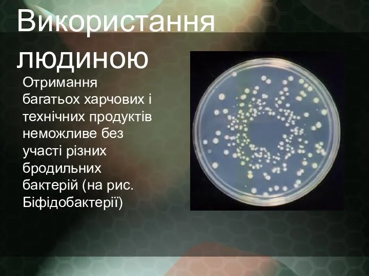 Використання людиною Отримання багатьох харчових і технічних продуктів неможливе без участі