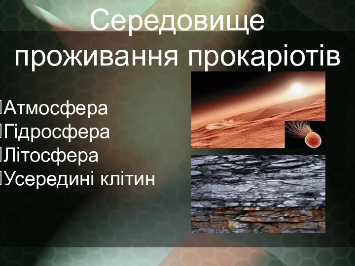 Середовище проживання прокаріотів Атмосфера Гідросфера Літосфера Усередині клітин