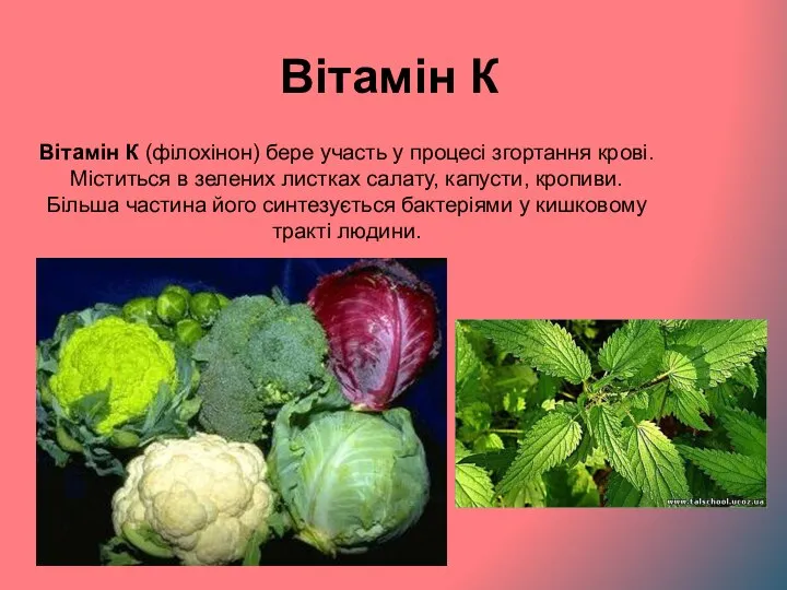 Вітамін К Вітамін К (філохінон) бере участь у процесі згортання крові.