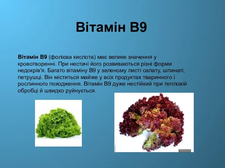 Вітамін В9 Вітамін В9 (фолієва кислота) має велике значення у кровотворенні.