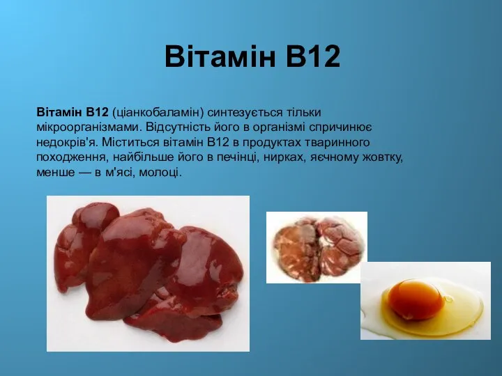 Вітамін В12 Вітамін В12 (ціанкобаламін) синтезується тільки мікроорганізмами. Відсутність його в