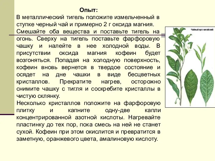 Опыт: В металлический тигель положите измельченный в ступке черный чай и